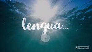 APRUEBA LENGUA
